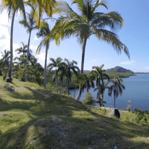 Tour Duaba Farm Baracoa