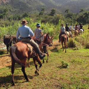 Excursi??n Cuba Horseback Rides (Marea del Portillo, Granma)