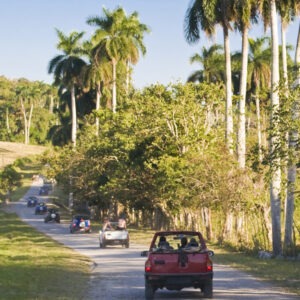 Excursiones