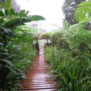 Tour Holguin-Wild Holguin