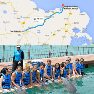 Excursi??n Holgu??n - Nado con delfines