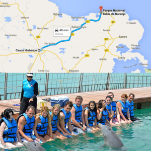 Excursi??n Holgu??n - Visita al delfinario