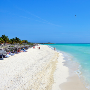 Hotel Sol Cayo Guillermo