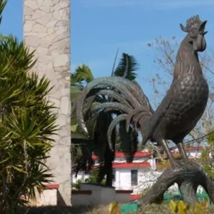 Tours Jardines del Rey-Moron Plus