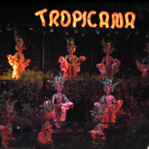 Excursi??n La Habana - Cabaret Tropicana (5 hrs)
